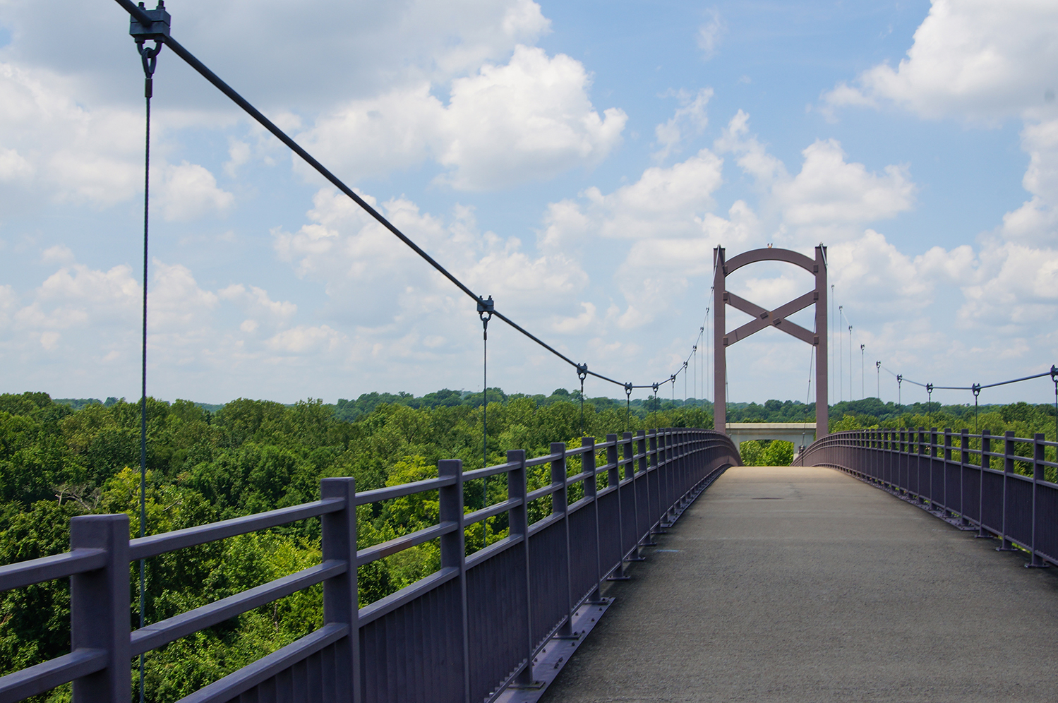 Cumberland River Pedestrian Bridge