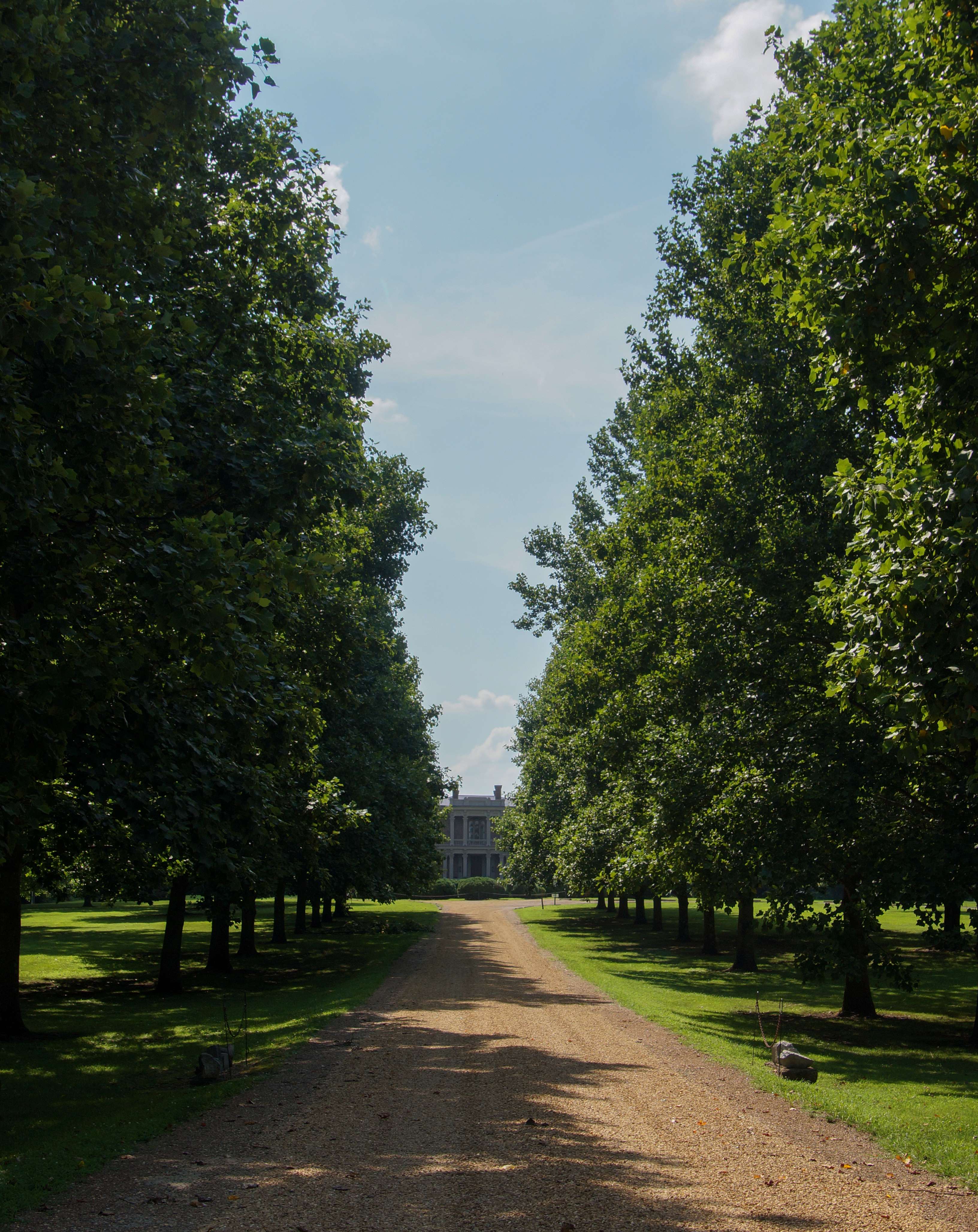 Trees at Two Rivers Mansion