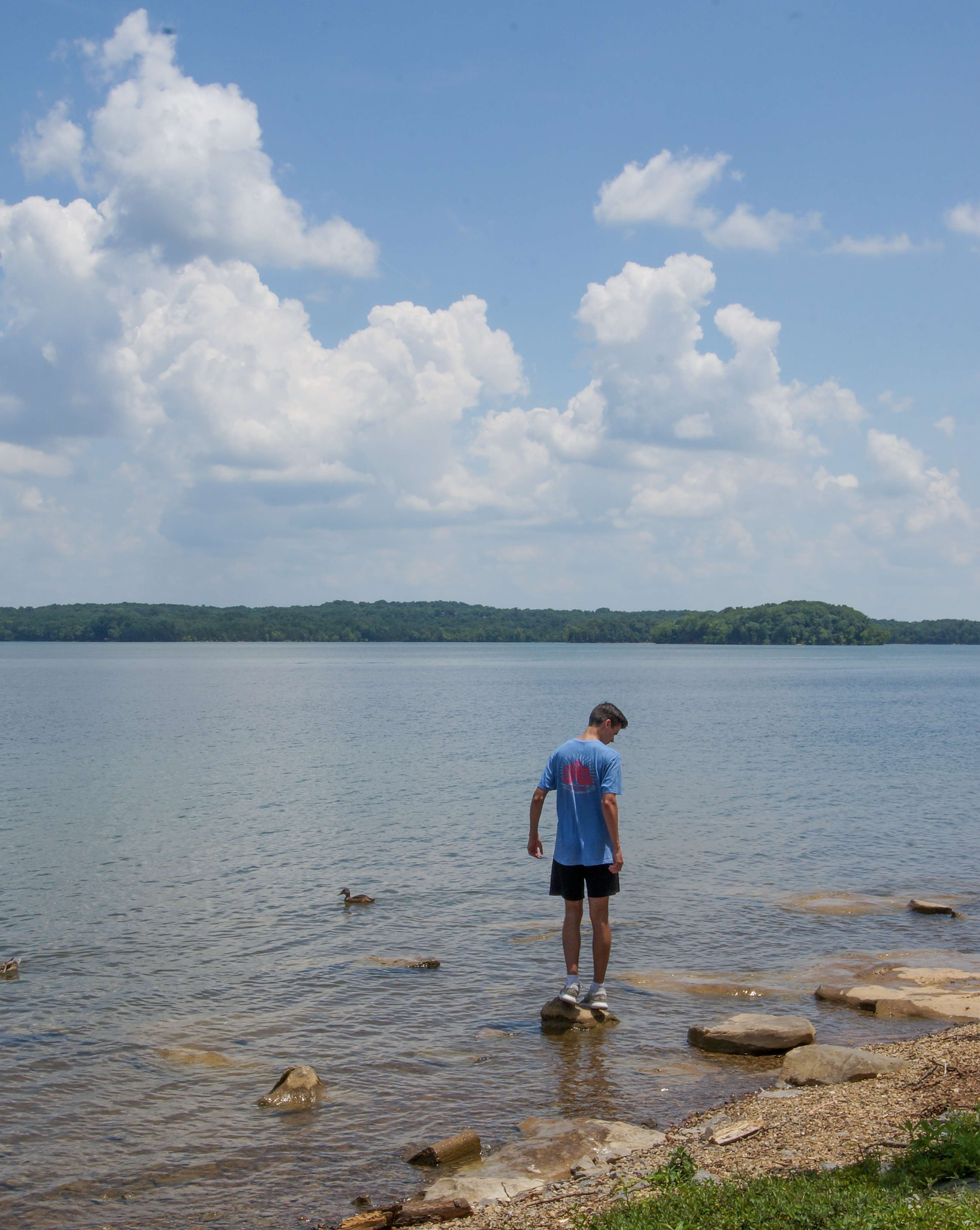 Percy Priest Lake